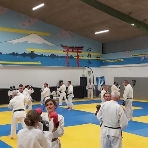 Cours Jujitsu avec le Club des Martres de Veyre