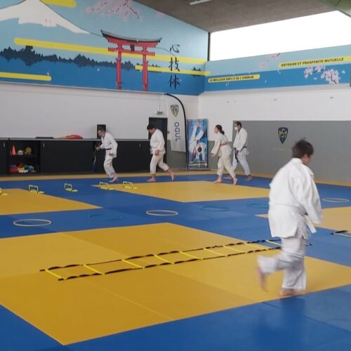 Entraînement judo adapté