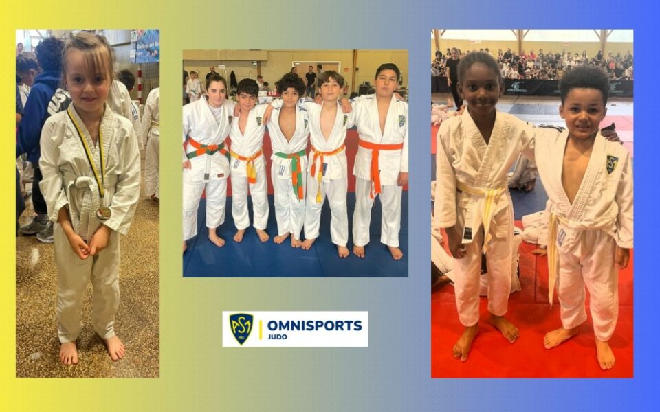 Challenge des Aulnes 2026 : de très belles médailles pour jeunes judokas !