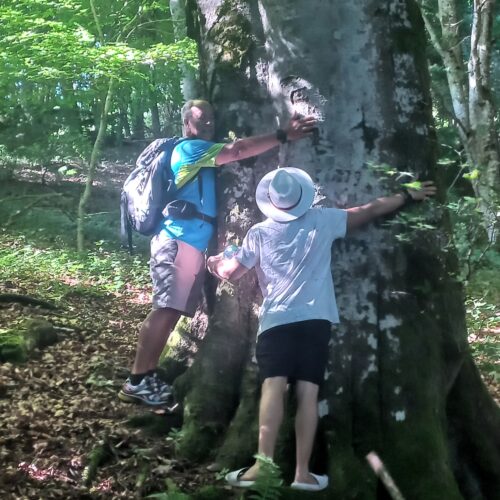 Réception de la sélection catalanne fin juin 2025