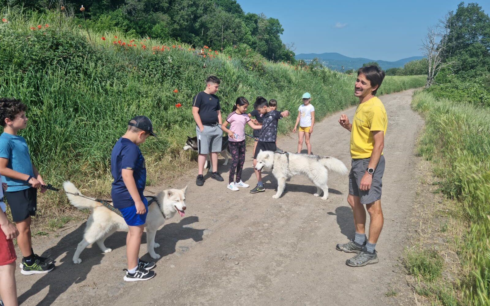 Les Juniors du Multisports initiés au cani-trail