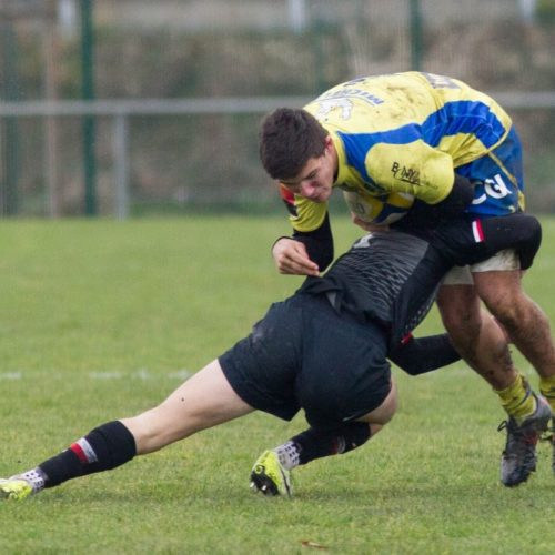 Alamercery ASM 8-6 Toulouse 2 fev 2019