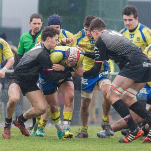 Alamercery ASM 8-6 Toulouse 2 fev 2019