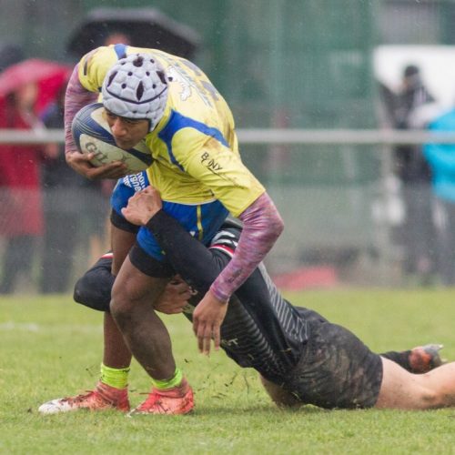 Alamercery ASM 8-6 Toulouse 2 fev 2019